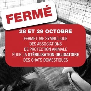 carre-sterilisation